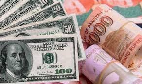 Steady Loans provide You with Freedom to Learn